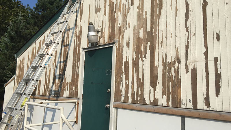 Peeling beige siding with green door and ladder