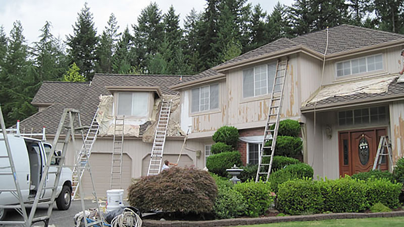 House exterior painting with ladders and van